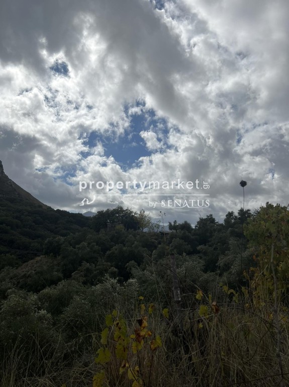 Οικόπεδο 4.400 τ.μ. προς πώληση, Καρίνες
