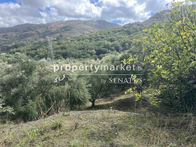 Οικόπεδο 4.400 τ.μ. προς πώληση, Καρίνες