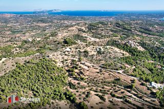 Αγροτεμάχια 29.617,20 τ.μ. προς πώληση, Βερβερούδα-thumb-7