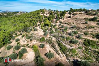 Αγροτεμάχια 29.617,20 τ.μ. προς πώληση, Βερβερούδα-thumb-18