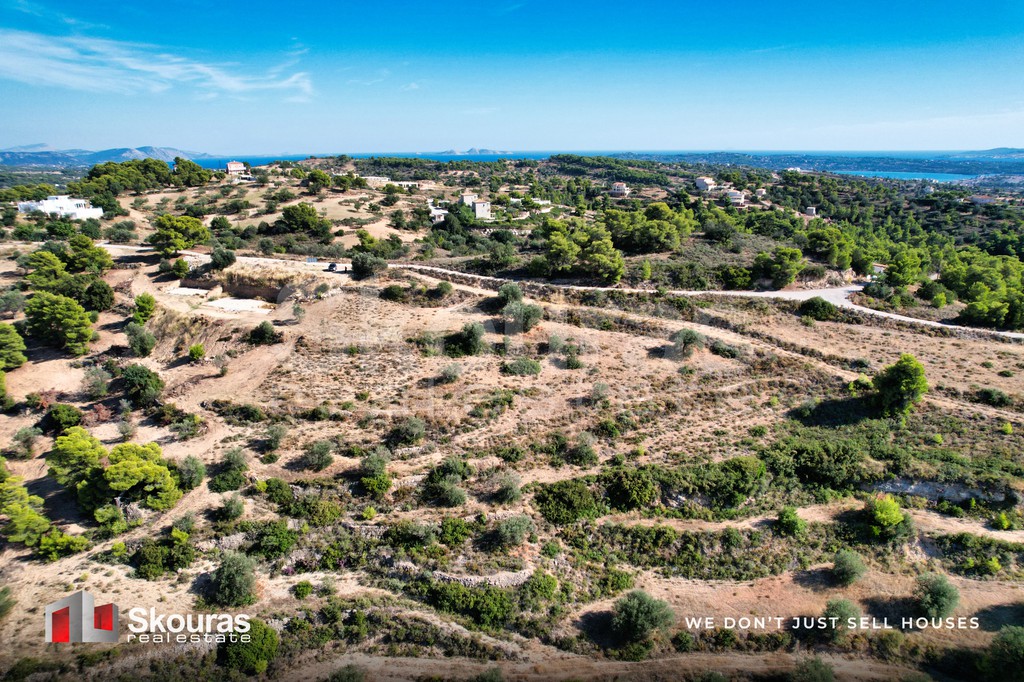 Αγροτεμάχια 29.617,20 τ.μ. προς πώληση, Βερβερούδα