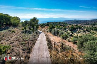 Αγροτεμάχια 29.617,20 τ.μ. προς πώληση, Βερβερούδα-thumb-20