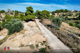 Αγροτεμάχια 29.617,20 τ.μ. προς πώληση, Βερβερούδα-thumb-22