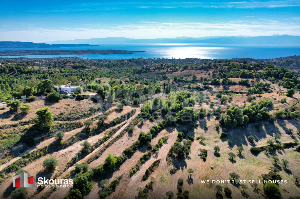 Αγροτεμάχια 29.617,20 τ.μ. προς πώληση, Βερβερούδα