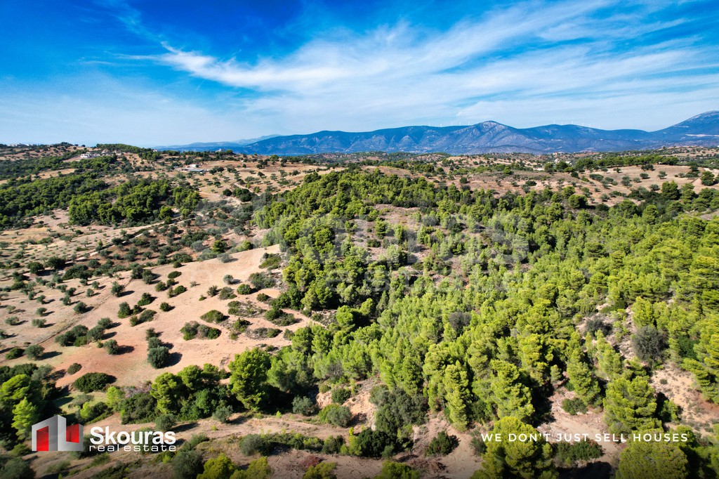 Αγροτεμάχια 29.617,20 τ.μ. προς πώληση, Βερβερούδα