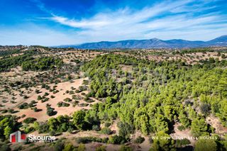 Αγροτεμάχια 29.617,20 τ.μ. προς πώληση, Βερβερούδα-thumb-4
