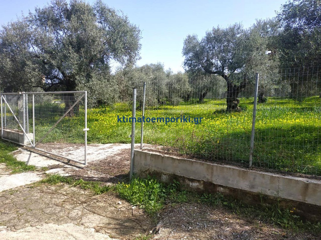 Οικόπεδο 2.000 τ.μ. προς πώληση, Δαράτσος