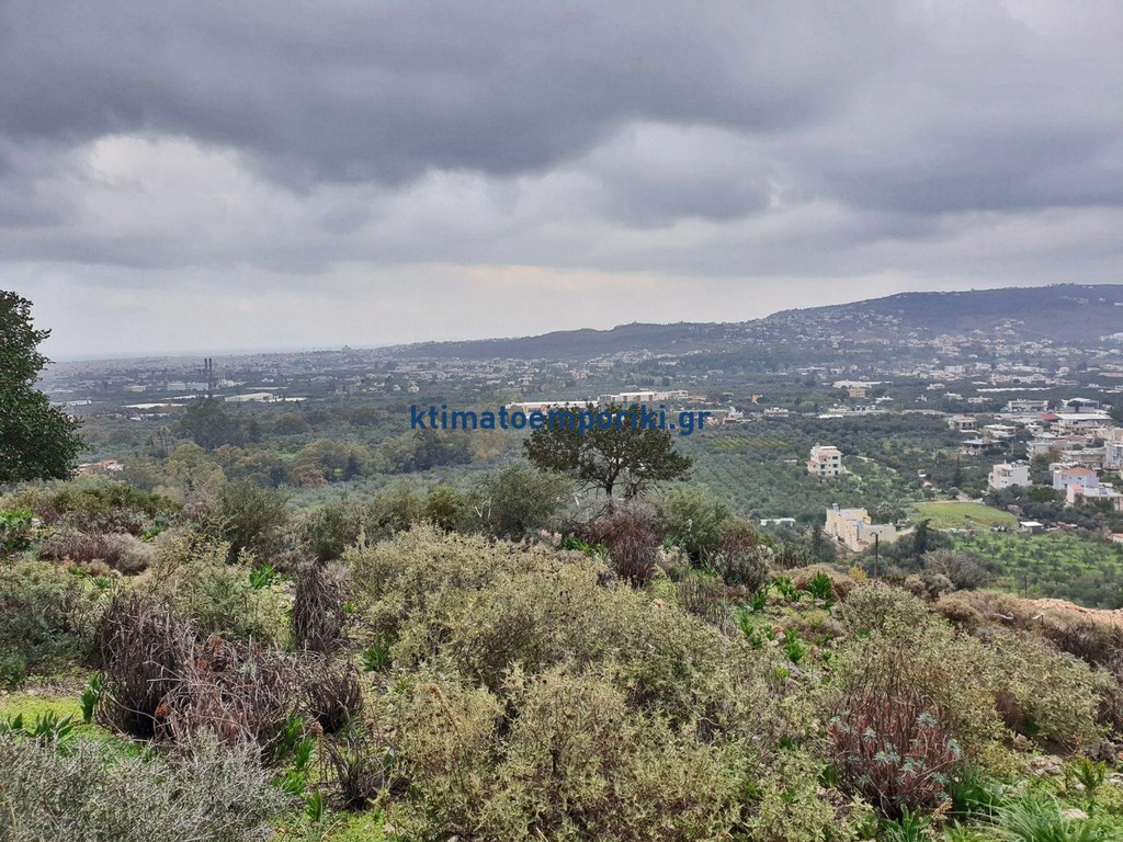 Οικόπεδο 5.000 τ.μ. προς πώληση, Σούδα Χανίων