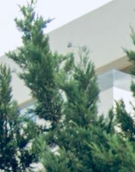 Μονοκατοικία 160 τ.μ. προς πώληση