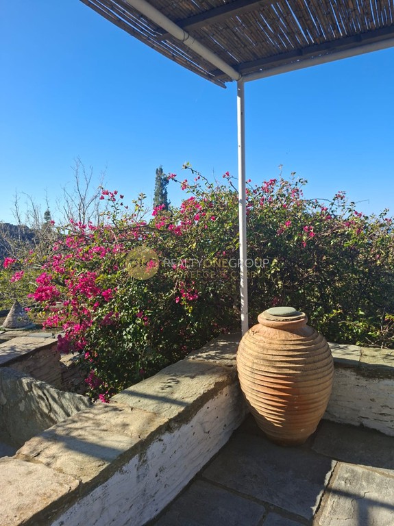 Μονοκατοικία 120 τ.μ. προς πώληση, Χώρα Άνδρου