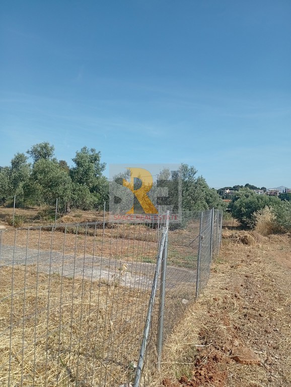 Οικόπεδο 274 τ.μ. προς πώληση, Άνοιξη Παιανίας