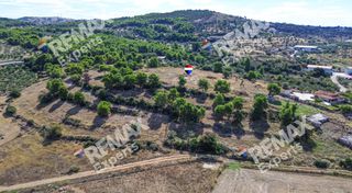 Αγροτεμάχια 6.387 τ.μ. προς πώληση, Κρανίδι-thumb-19