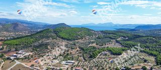 Αγροτεμάχια 6.387 τ.μ. προς πώληση, Κρανίδι-thumb-14