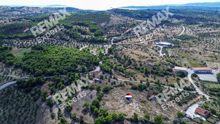 Αγροτεμάχια 6.387 τ.μ. προς πώληση, Κρανίδι-thumb-17