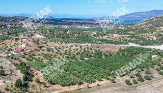 Αγροτεμάχια 6.387 τ.μ. προς πώληση, Κρανίδι-thumb-11