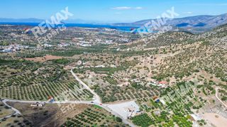 Αγροτεμάχια 6.387 τ.μ. προς πώληση, Κρανίδι-thumb-18