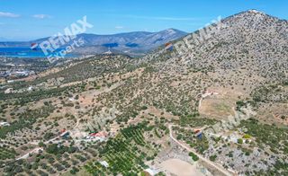 Αγροτεμάχια 6.387 τ.μ. προς πώληση, Κρανίδι-thumb-22