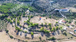 Αγροτεμάχια 6.387 τ.μ. προς πώληση, Κρανίδι-thumb-6