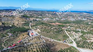 Αγροτεμάχια 6.387 τ.μ. προς πώληση, Κρανίδι-thumb-12