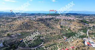 Αγροτεμάχια 6.387 τ.μ. προς πώληση, Κρανίδι-thumb-8