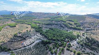 Αγροτεμάχια 6.387 τ.μ. προς πώληση, Κρανίδι-thumb-21