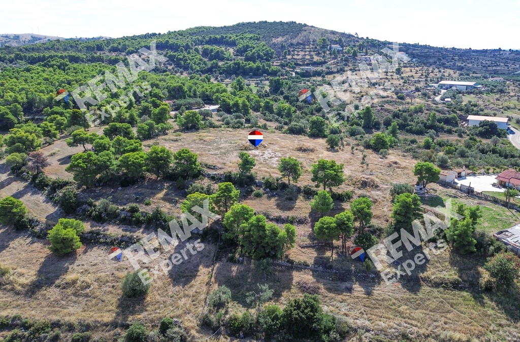 Αγροτεμάχια 6.387 τ.μ. προς πώληση, Κρανίδι
