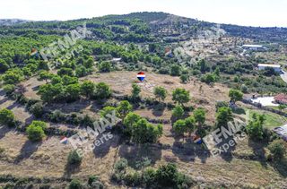 Αγροτεμάχια 6.387 τ.μ. προς πώληση, Κρανίδι-thumb-3