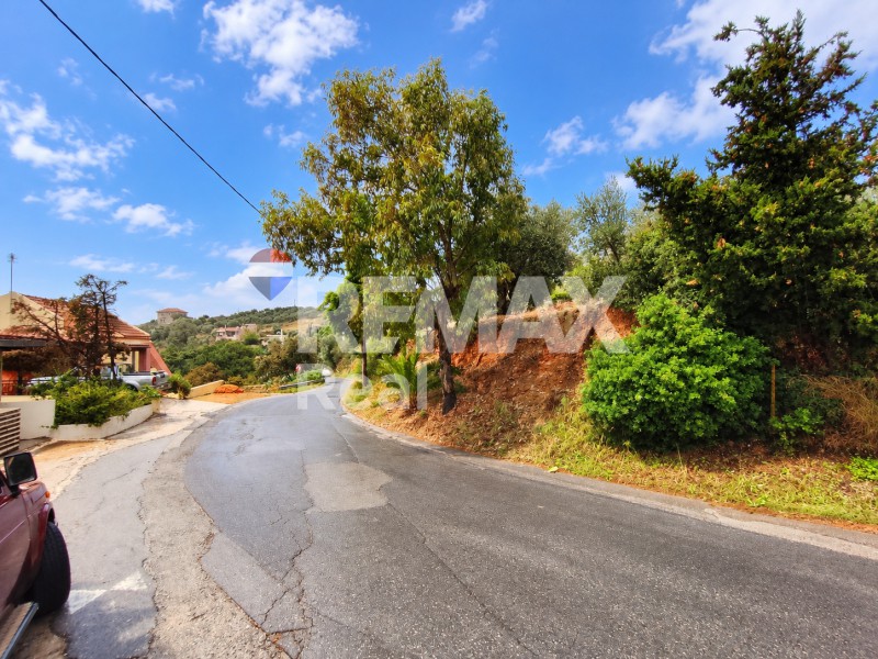 Οικόπεδο 366 τ.μ. προς πώληση, Ροδιά Γαζίου