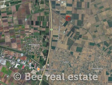 Αγροτεμάχια 14.900 τ.μ. προς πώληση