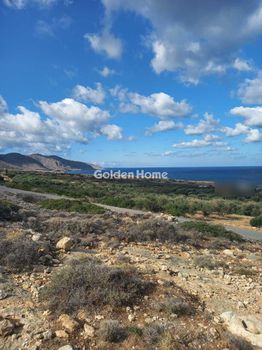 Οικόπεδο 3.500 τ.μ. προς πώληση