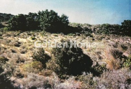 Land plot 20.000 sqm for sale