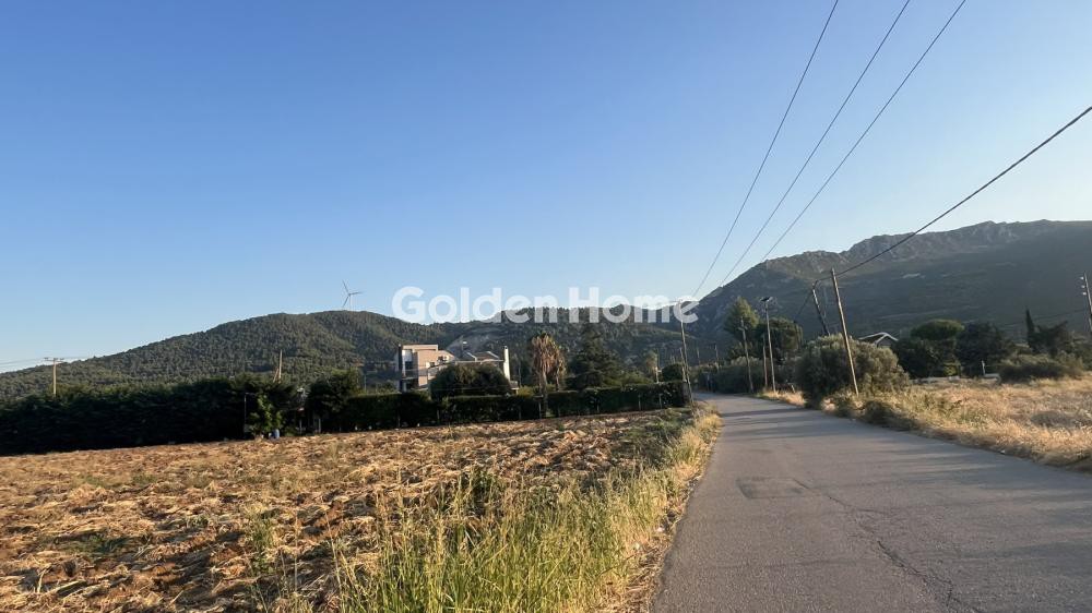 Αγροτεμάχια 1.140 τ.μ. προς πώληση, Τραγάνα Αταλάντης