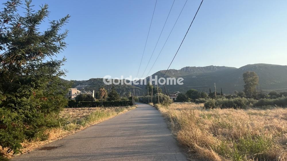 Αγροτεμάχια 1.140 τ.μ. προς πώληση, Τραγάνα Αταλάντης