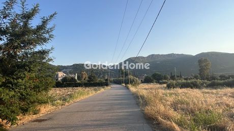 Αγροτεμάχια 1.140 τ.μ. προς πώληση