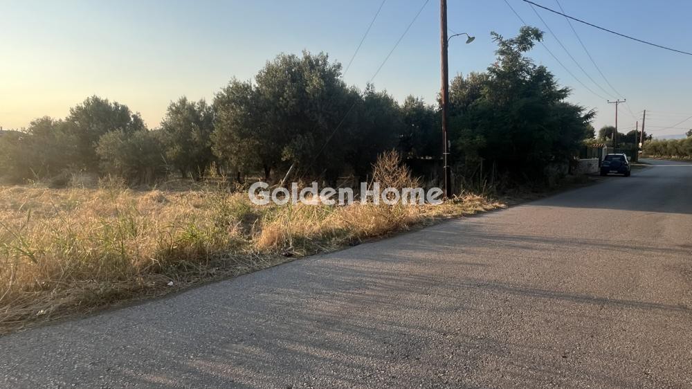 Αγροτεμάχια 1.140 τ.μ. προς πώληση, Τραγάνα Αταλάντης
