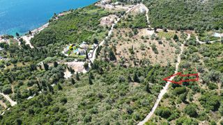 Αγροτεμάχια 4.500 τ.μ. προς πώληση