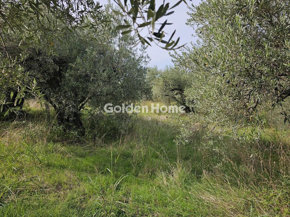 Αγροτεμάχια 4.950 τ.μ. προς πώληση, Κανατάδικα