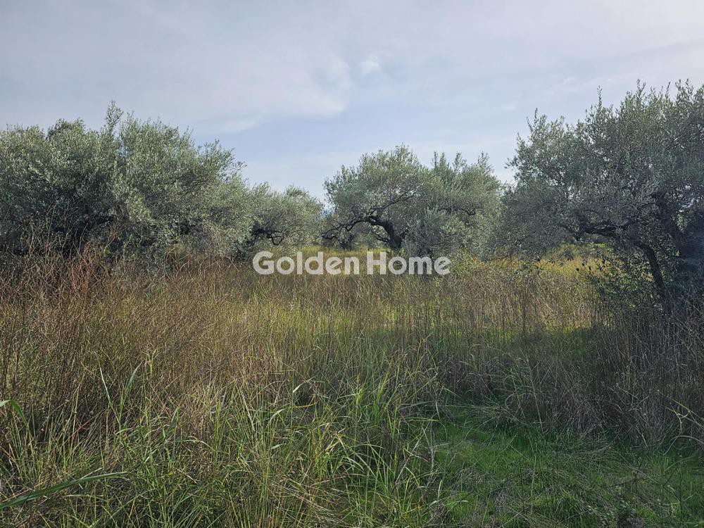Αγροτεμάχια 4.950 τ.μ. προς πώληση, Κανατάδικα