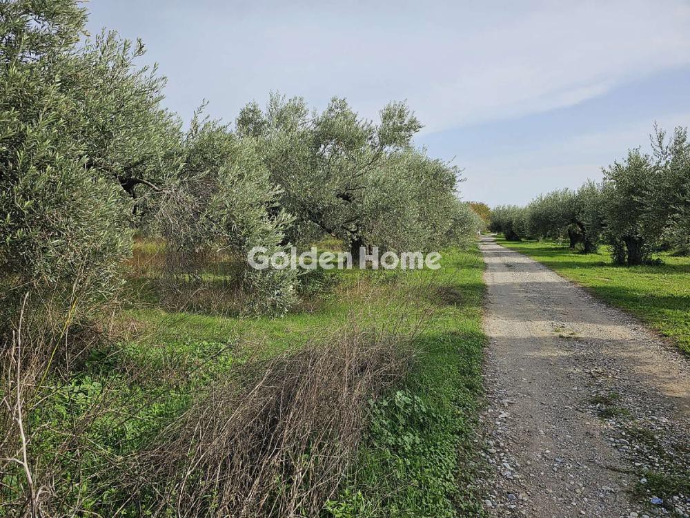 Αγροτεμάχια 4.950 τ.μ. προς πώληση, Κανατάδικα