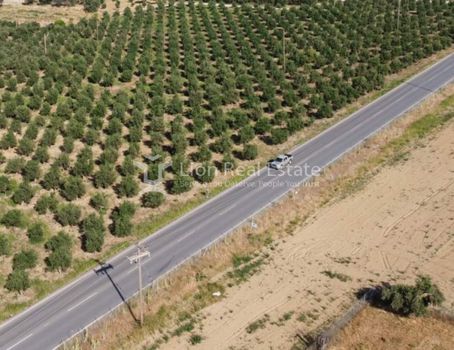 Αγροτεμάχια 100.000 τ.μ. προς πώληση