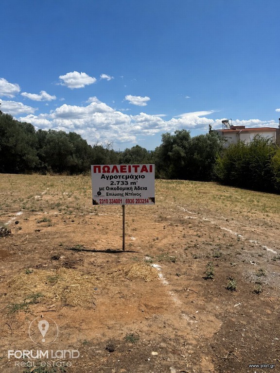 Αγροτεμάχια 2.733 τ.μ. προς πώληση, Κέντρο Πανοράματος