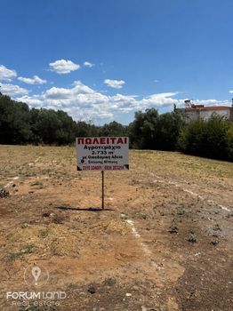Αγροτεμάχια 2.733 τ.μ. προς πώληση