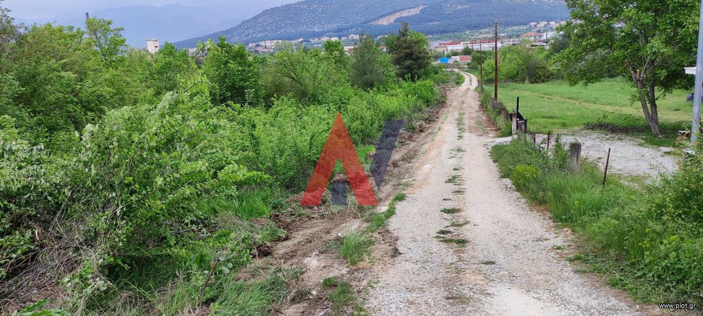 Αγροτεμάχια 1.650 τ.μ. προς πώληση, Σκεπάρνη