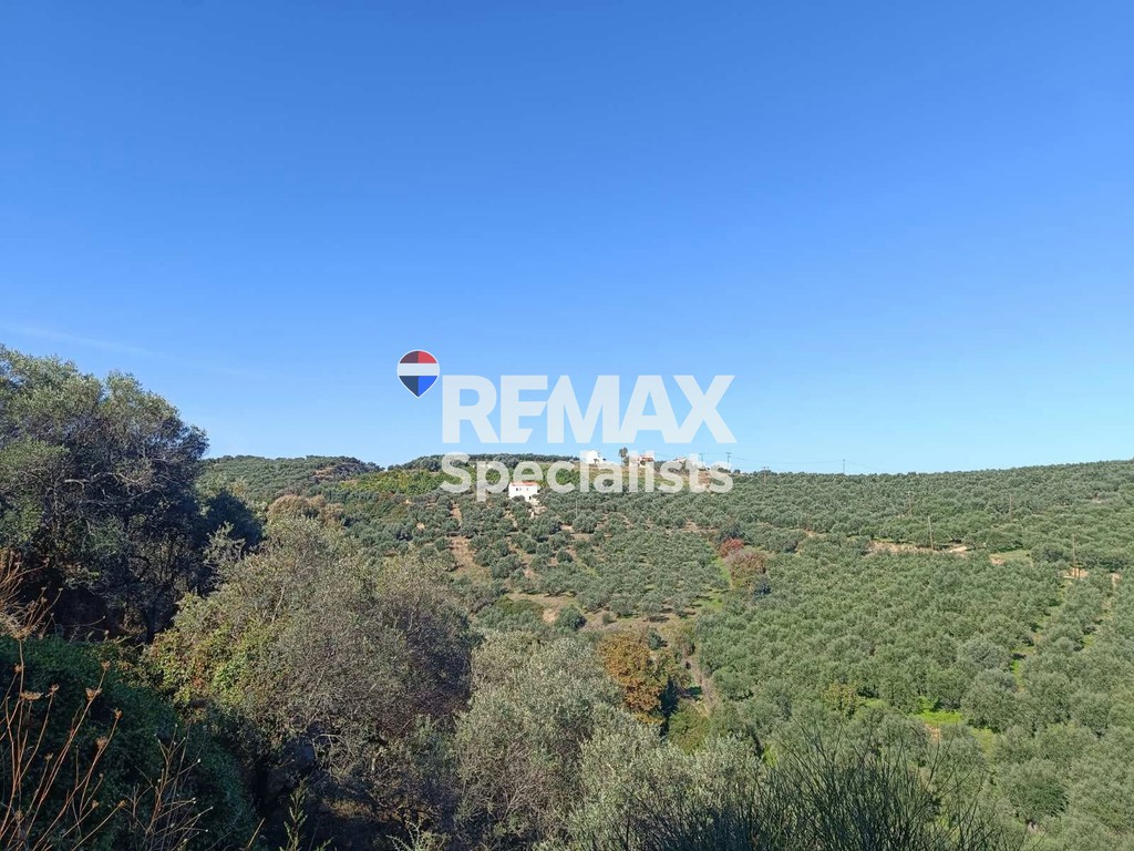 Αγροτεμάχια 4.082 τ.μ. προς πώληση, Κάτω Σταλός