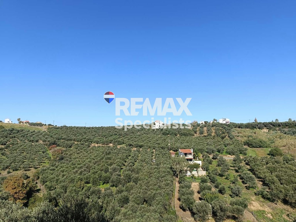 Αγροτεμάχια 4.082 τ.μ. προς πώληση, Κάτω Σταλός