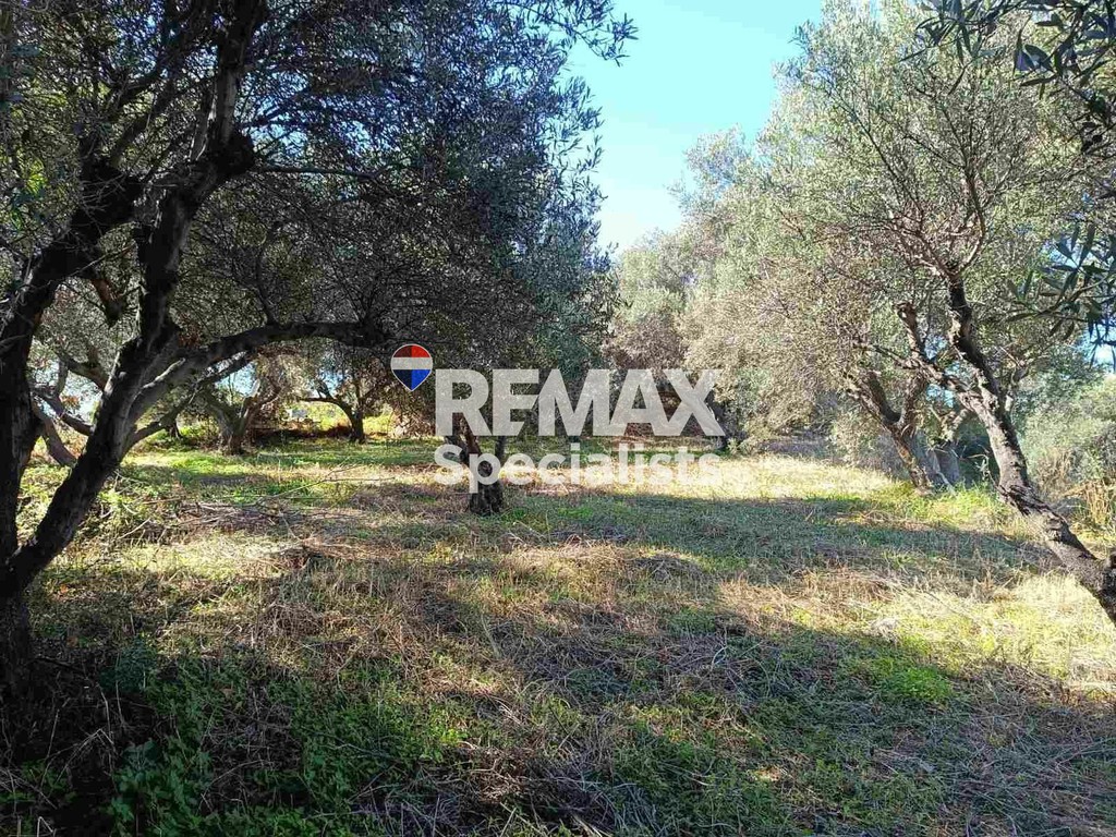 Αγροτεμάχια 4.082 τ.μ. προς πώληση, Κάτω Σταλός