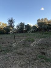 Οικόπεδο 1.760 τ.μ. προς πώληση, Ιθώμη Μεσσηνίας-thumb-20