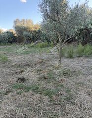 Οικόπεδο 1.760 τ.μ. προς πώληση, Ιθώμη Μεσσηνίας-thumb-16