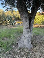 Οικόπεδο 1.760 τ.μ. προς πώληση, Ιθώμη Μεσσηνίας-thumb-17