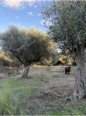 Οικόπεδο 1.760 τ.μ. προς πώληση, Ιθώμη Μεσσηνίας-thumb-18